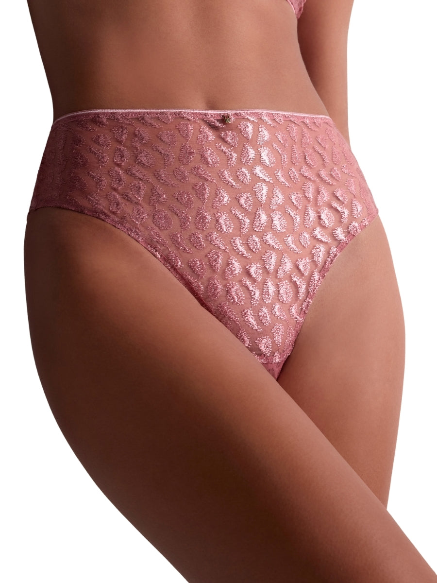 Crazy In Love High Waist Brief