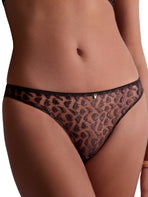 Crazy In Love Italian Brief