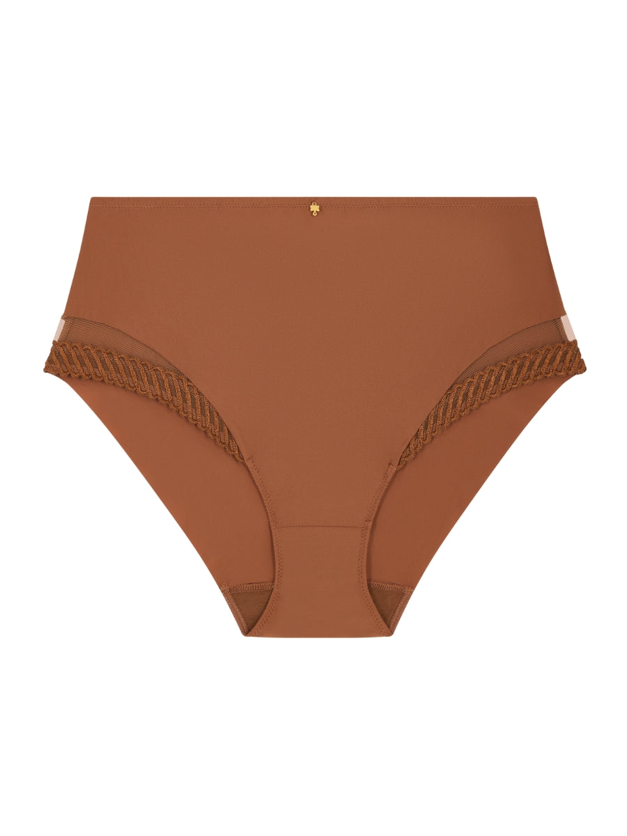 Sheer Emotion High Waist Brief