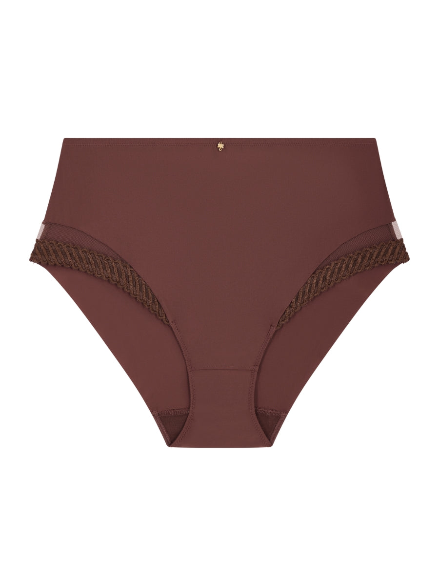Sheer Emotion High Waist Brief