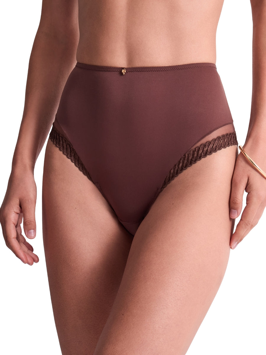 Sheer Emotion High Waist Brief