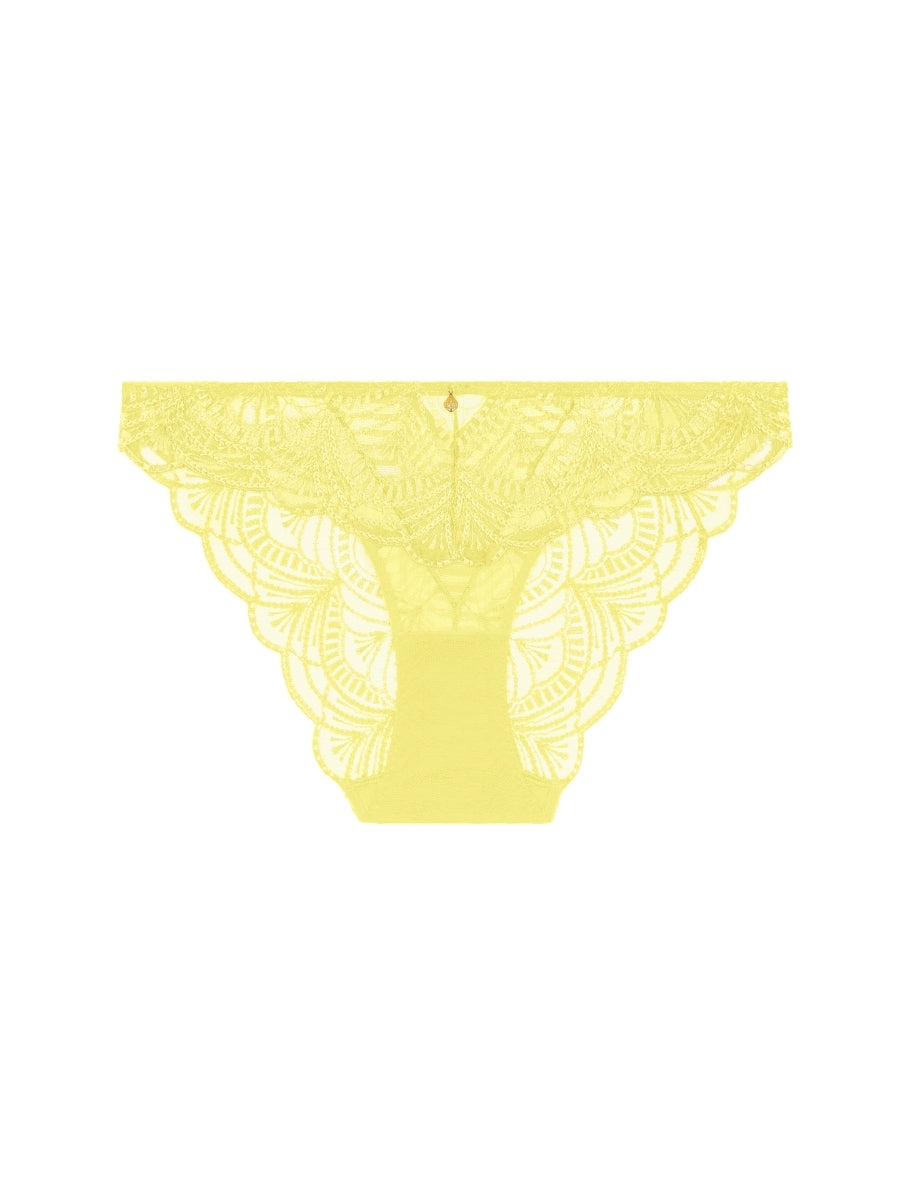 Vibes Italian Brief