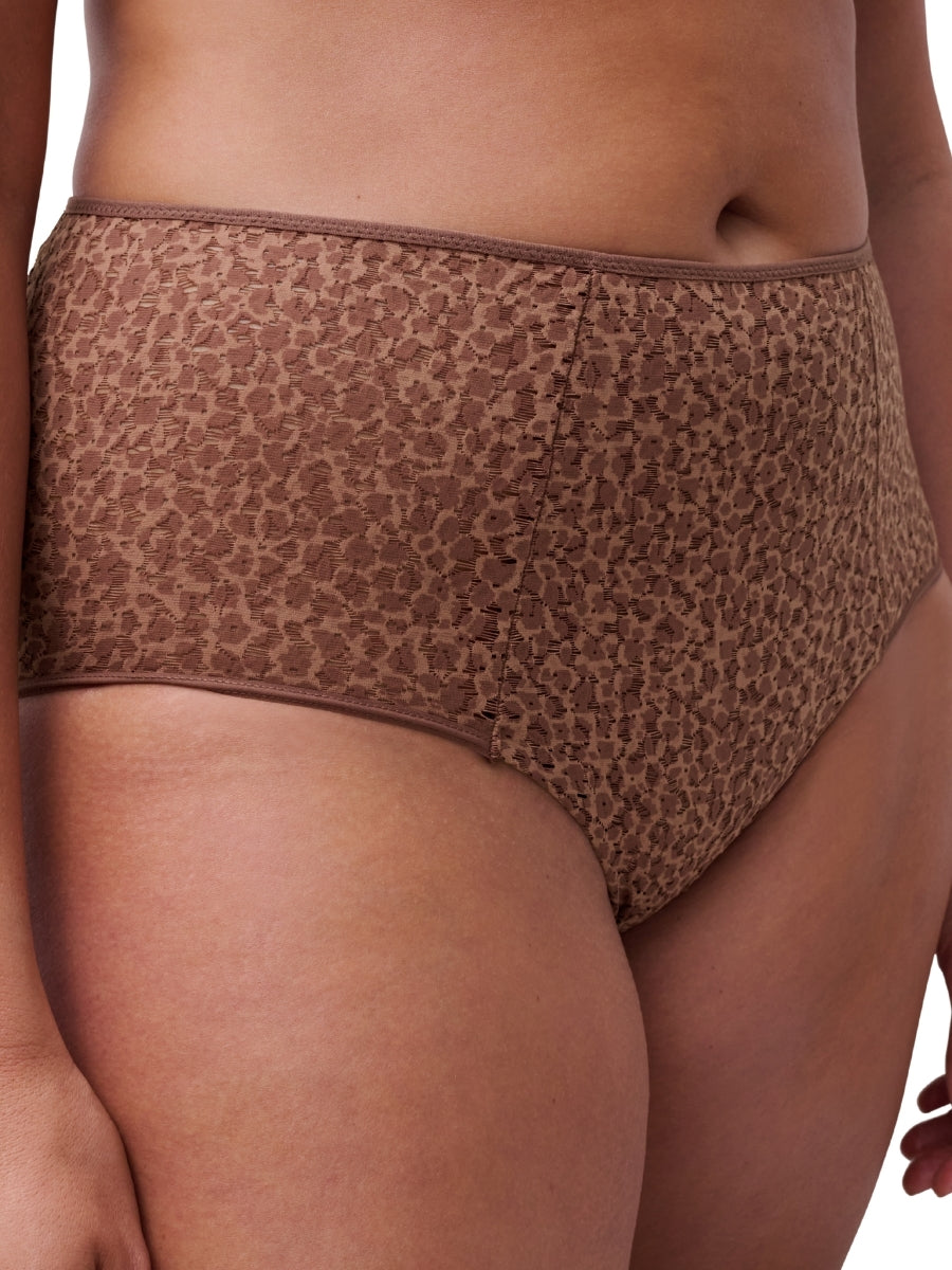 Easy Feel Norah High Waisted Covering Full Brief