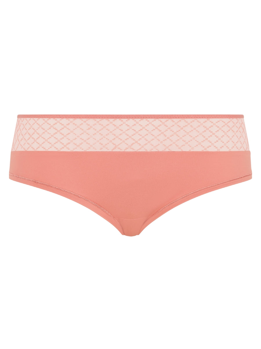 Norah Chic Covering Shorty