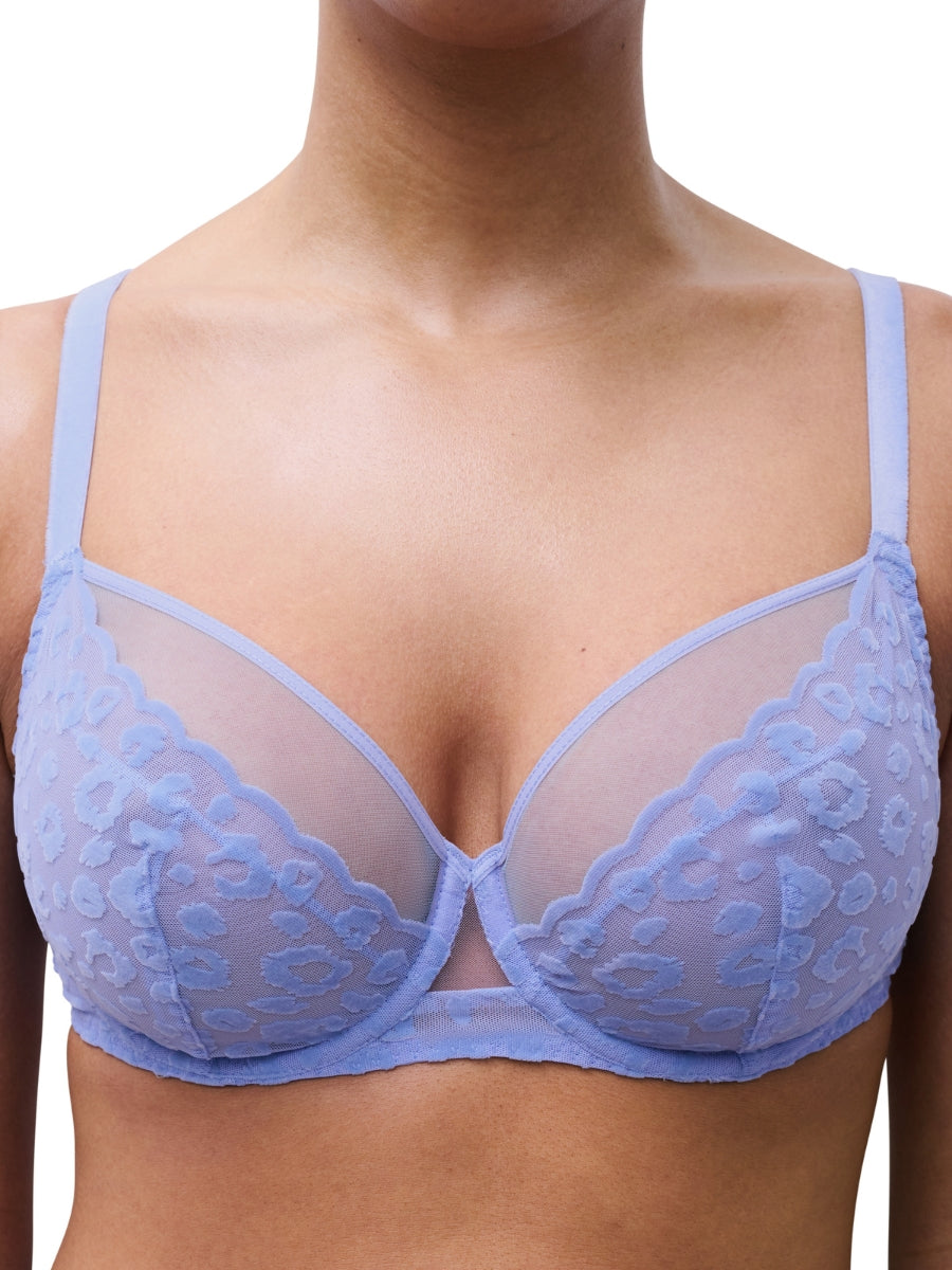 Girls Covering Full Cup Bra - Cornflower
