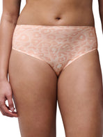SoftStretch High Waist Brief (1XL-4XL)
