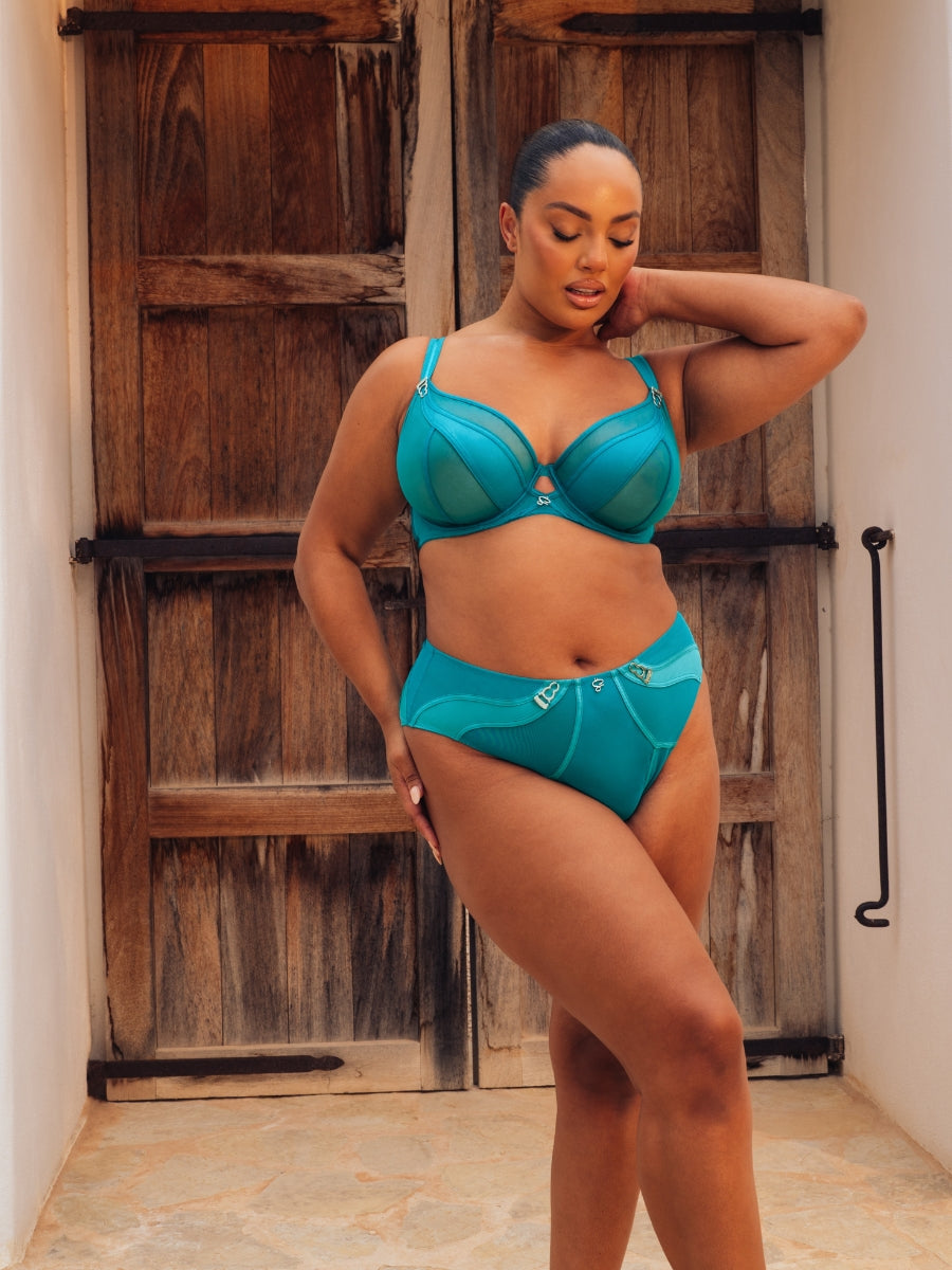 Suspense High Waist Brief