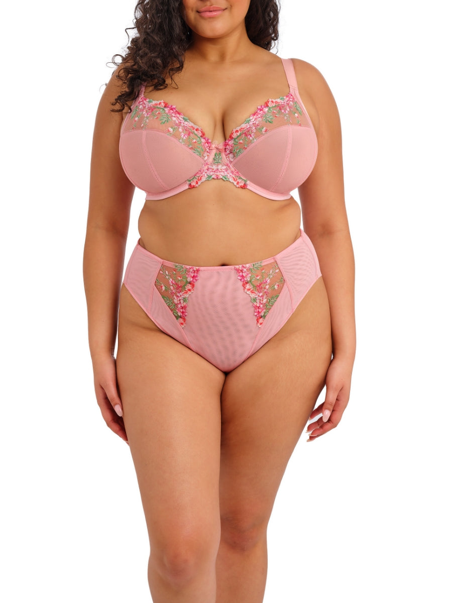 Aerith Plunge Bra - Rose