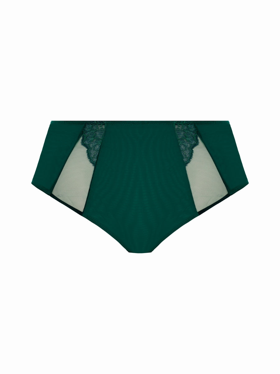 Brianna Full Brief