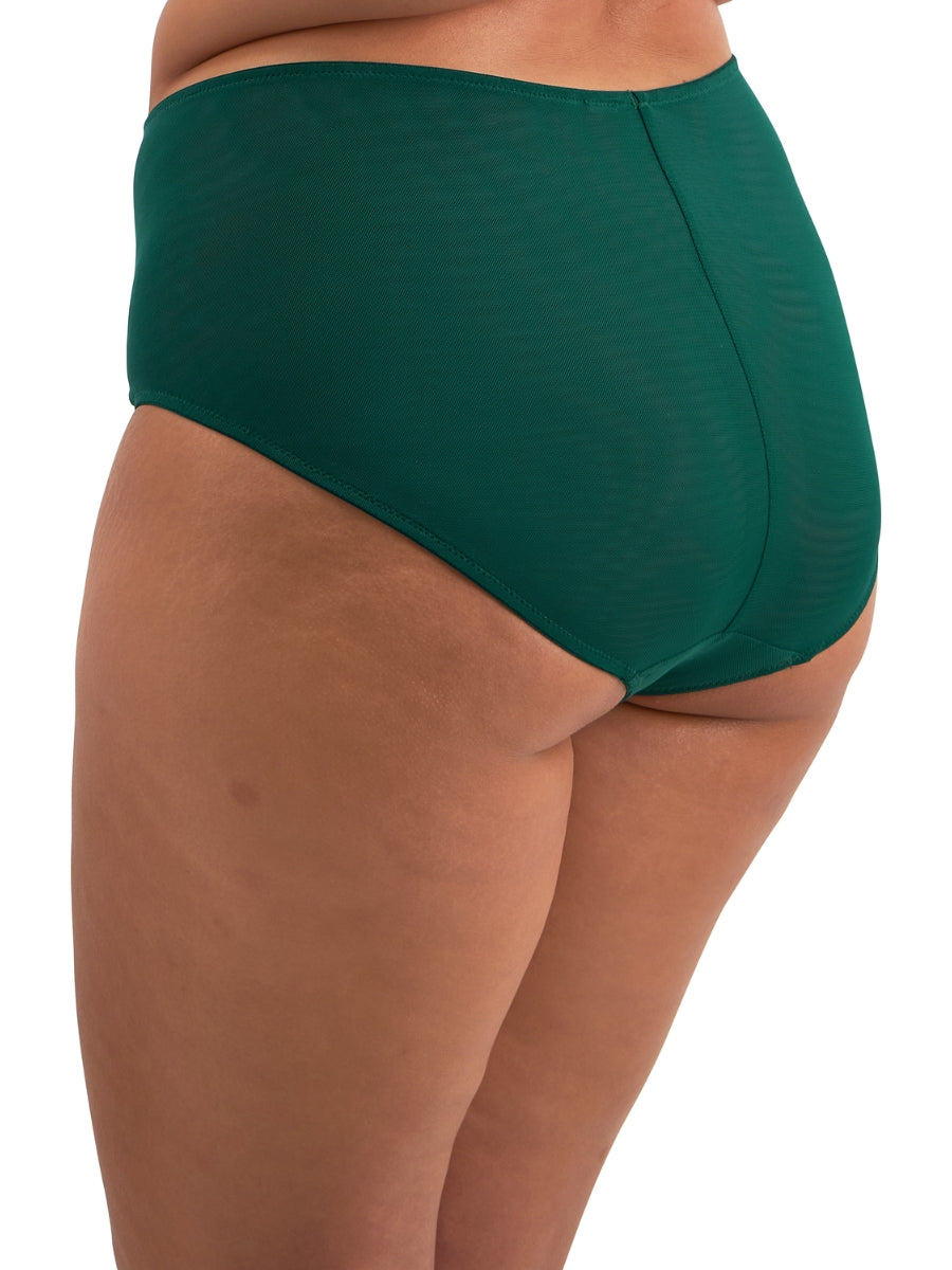 Brianna Full Brief