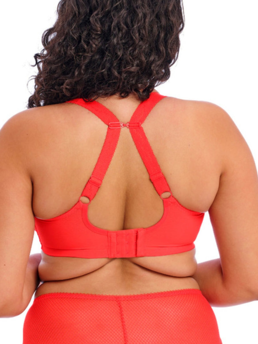 Charley Plunge Bra - Salsa