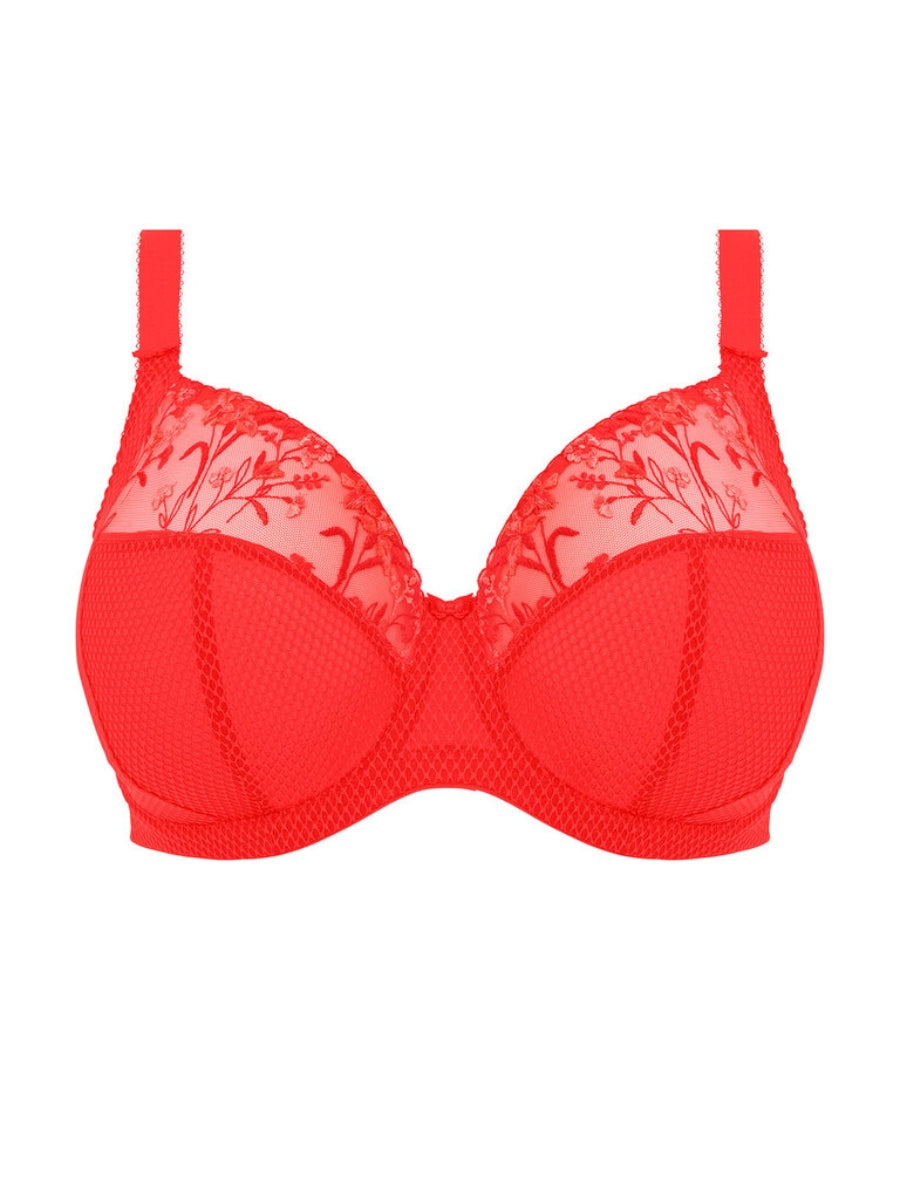 Charley Plunge Bra - Salsa