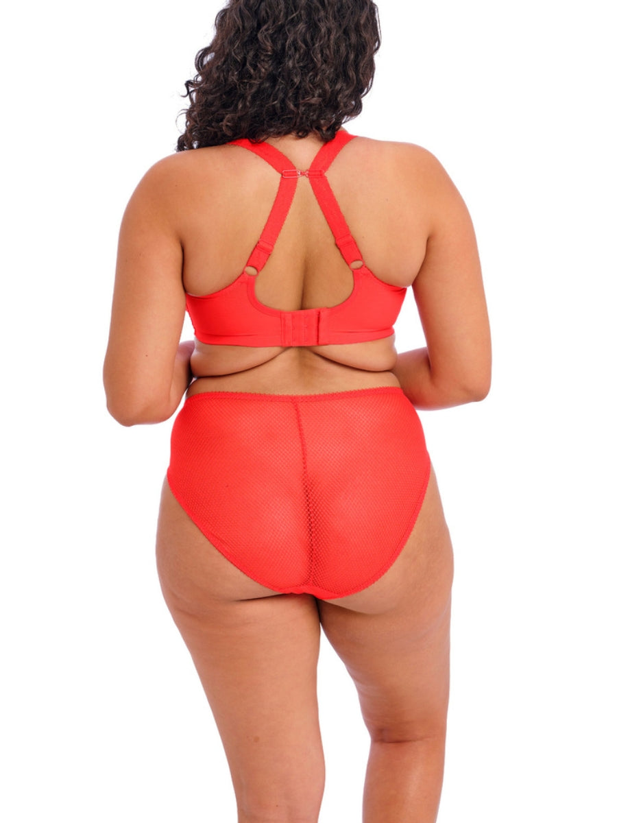 Charley Plunge Bra - Salsa