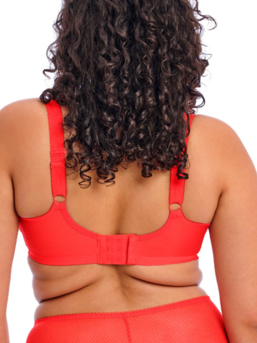 Charley Plunge Bra - Salsa