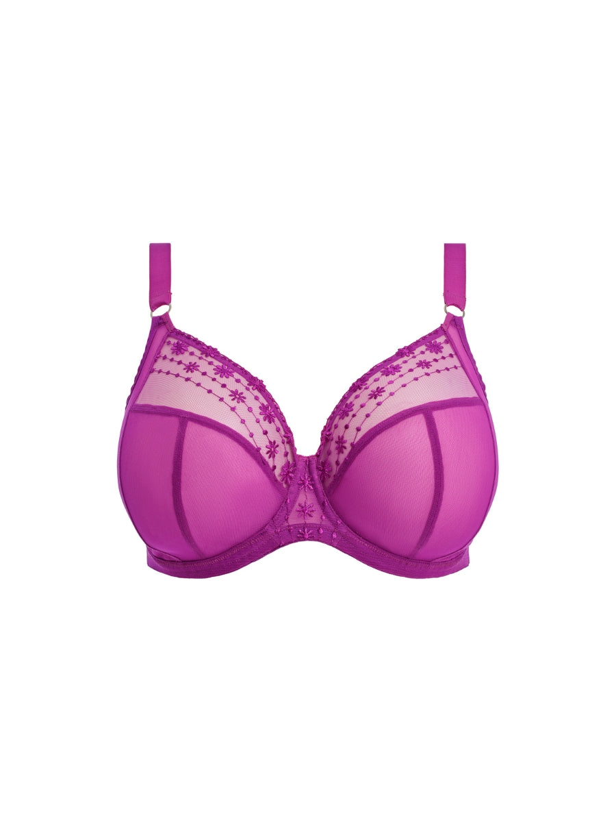 Matilda Plunge Bra - Hollyhock