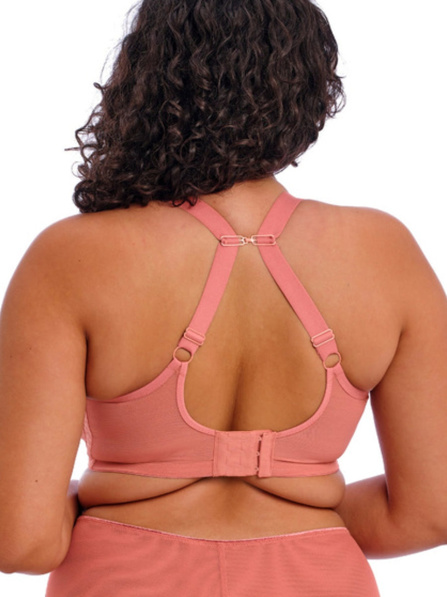 Matilda Plunge Bra - Rose Leo