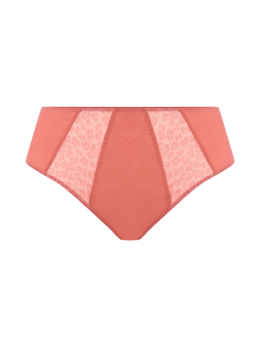Matilda Full Brief