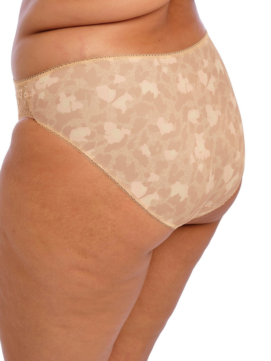Morgan Brief