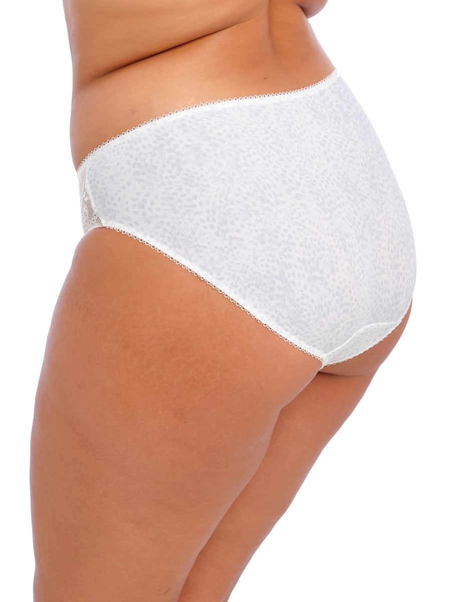 Morgan Brief