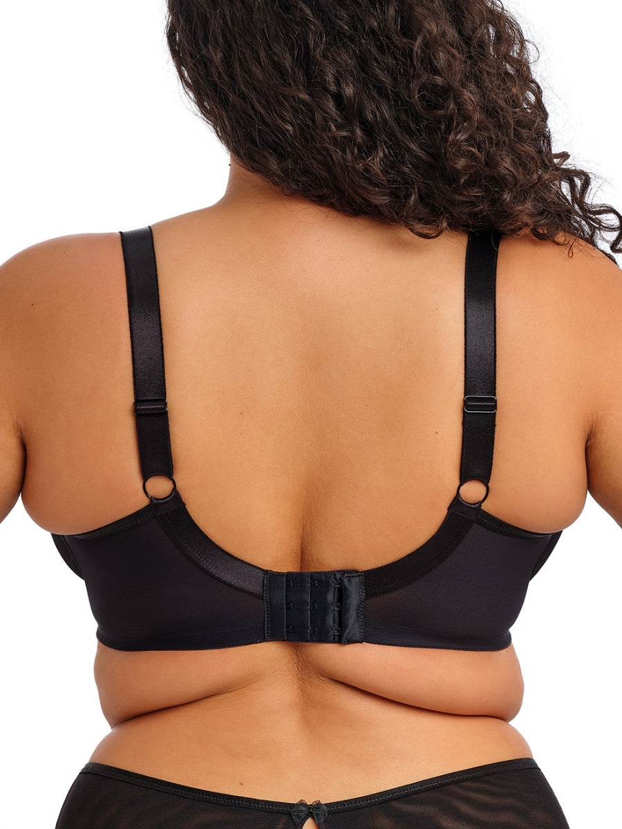 Teagan Plunge Bra - Rainbow