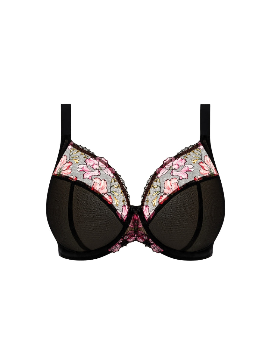 Teagan Plunge Bra - Rainbow