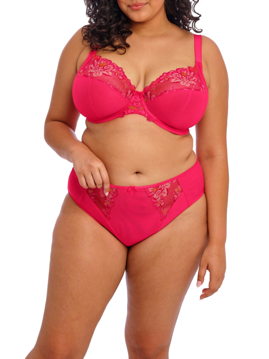 Teagan High Leg Brief