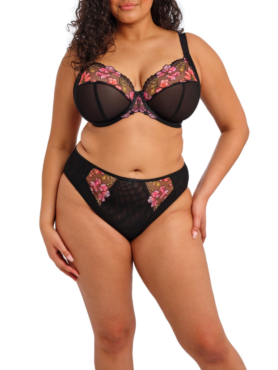 Teagan High Leg Brief
