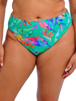 Toyama Tides Bikini Brief