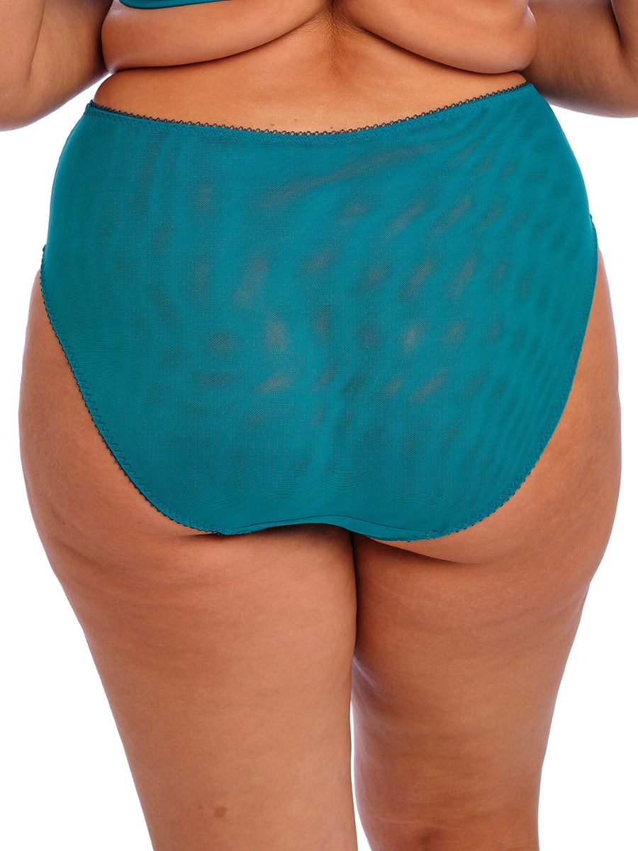 Zarla High Leg Brief