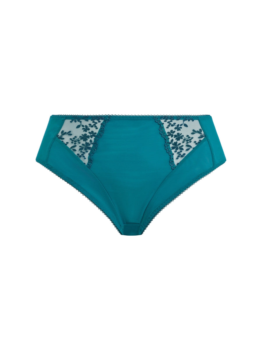 Zarla High Leg Brief