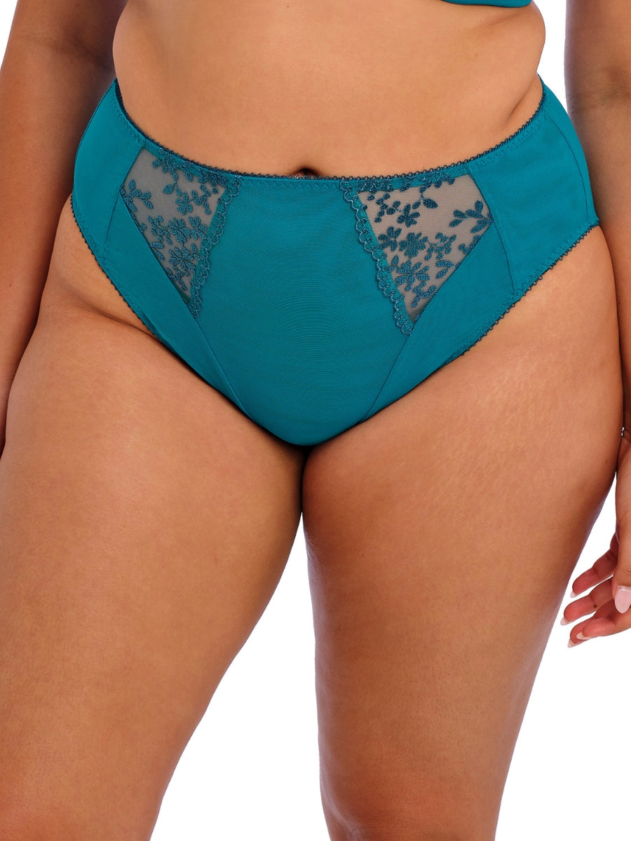 Zarla High Leg Brief