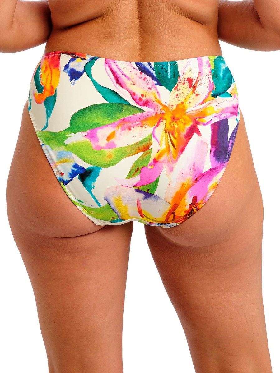 Iguazu Falls Bikini Brief