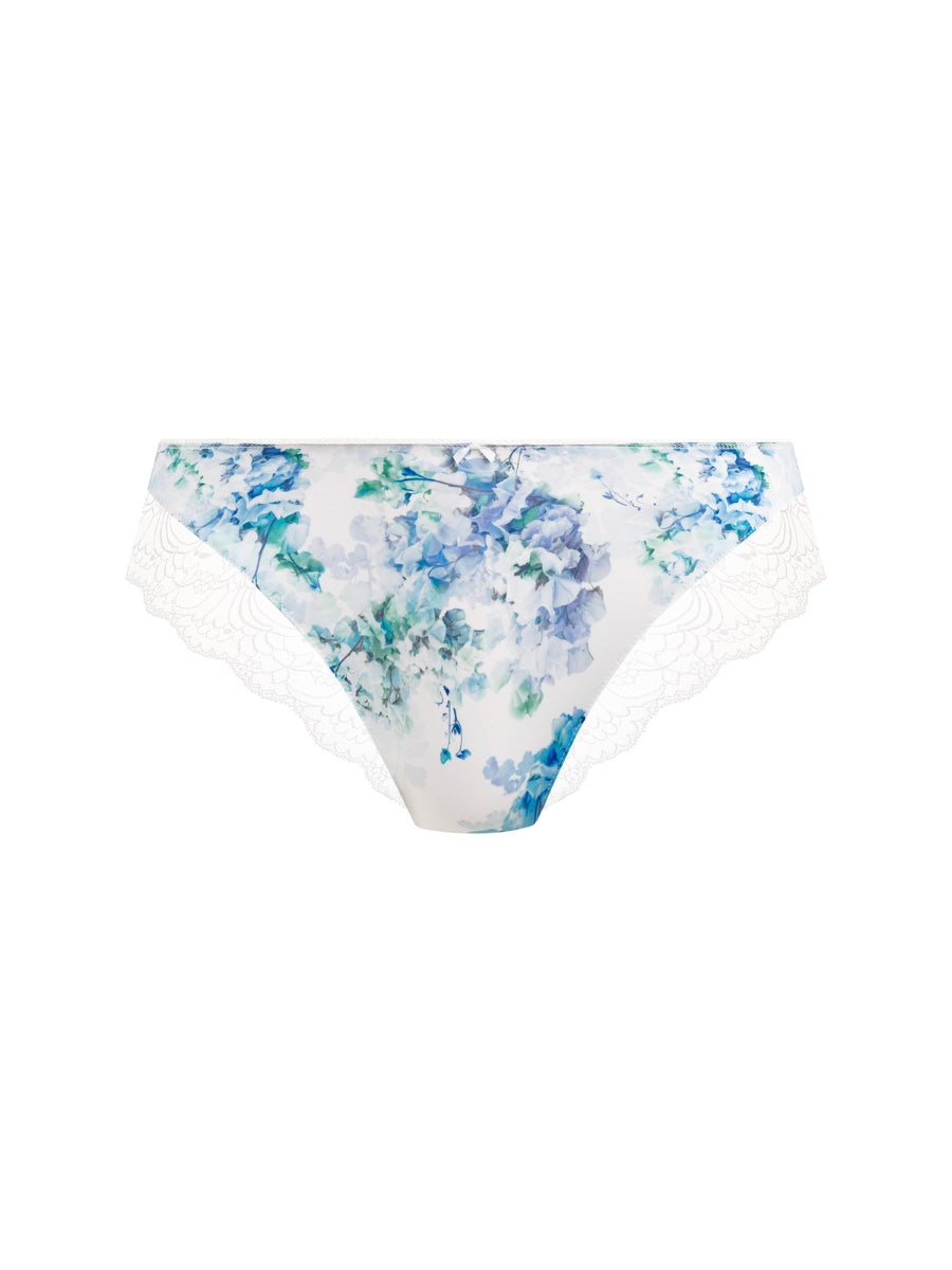 Lucia Brief