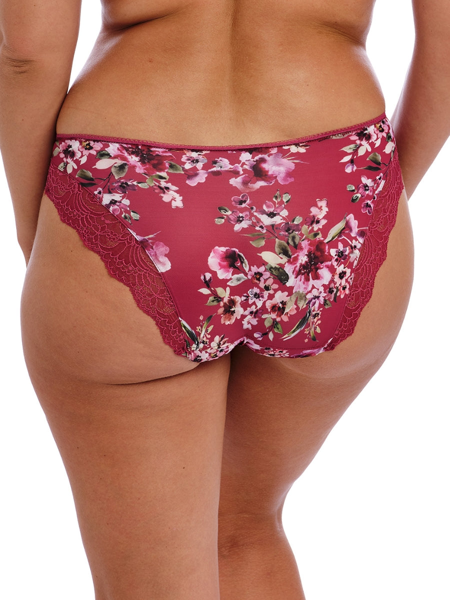 Lucia Brief