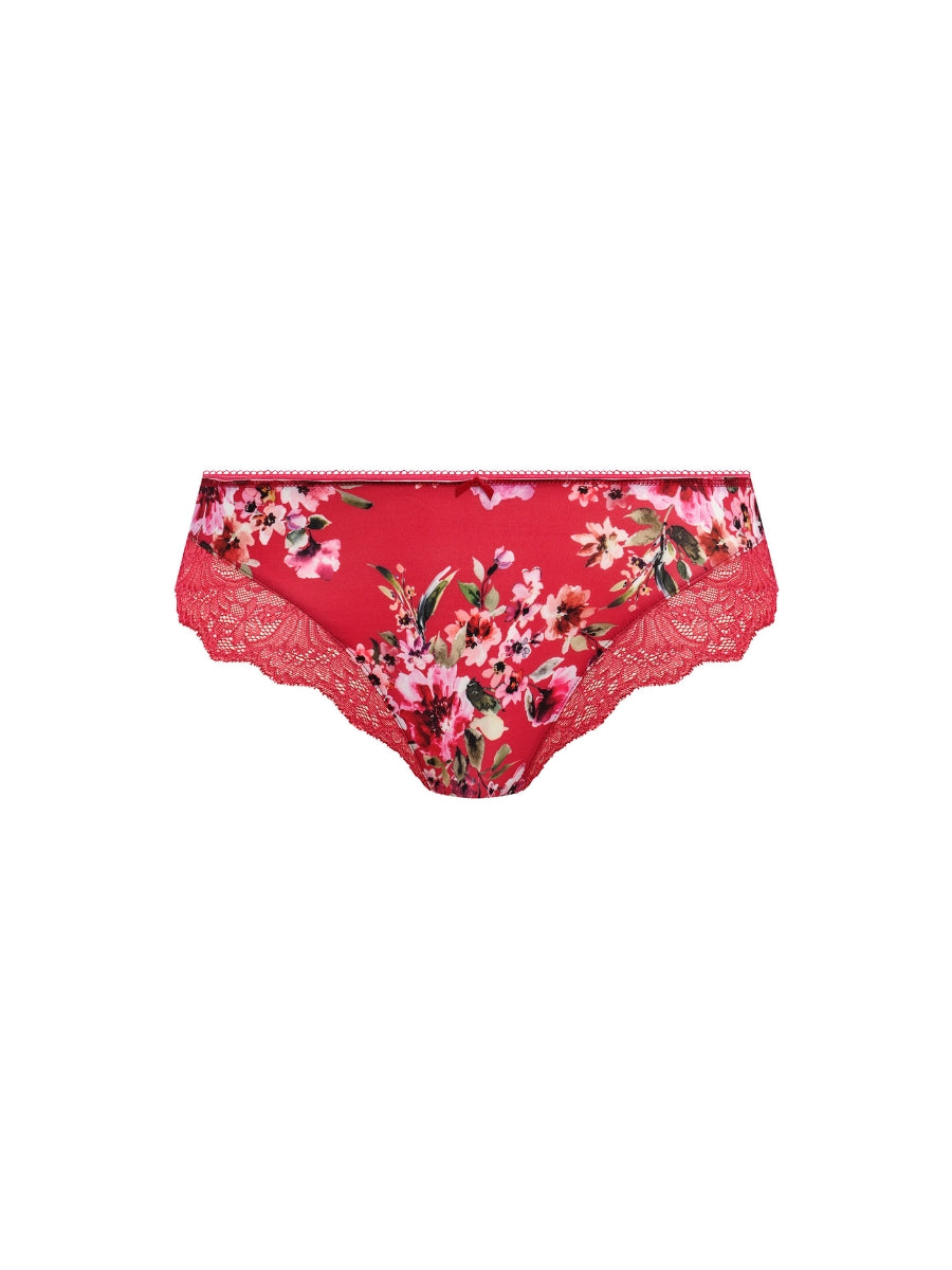 Lucia Brief