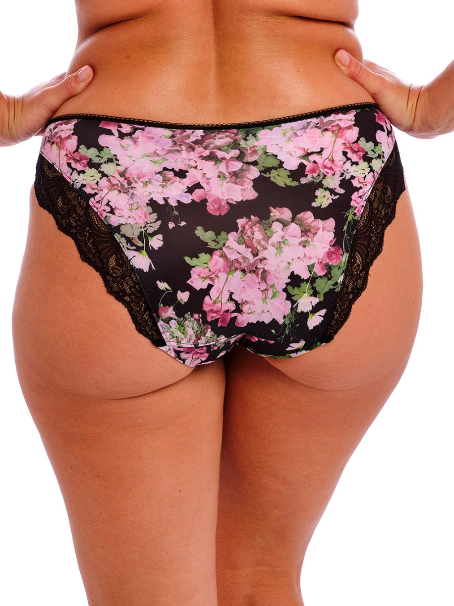Lucia Brief