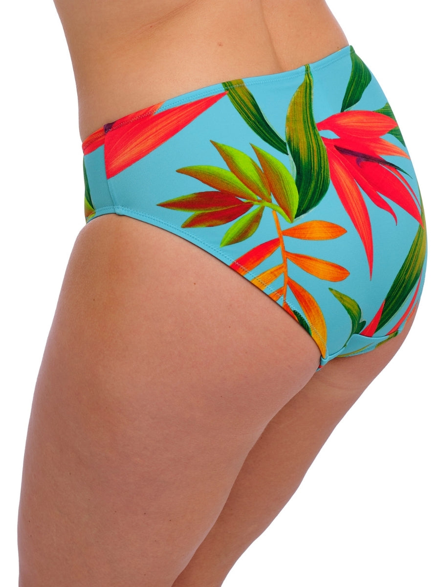 Pichola Bikini Brief