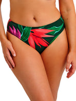 Pichola Bikini Brief