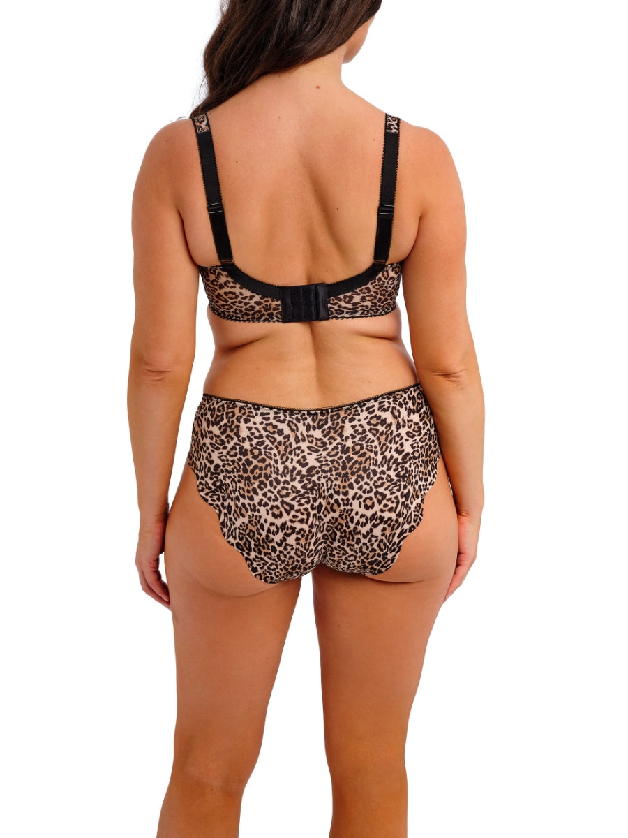 Talia Brief