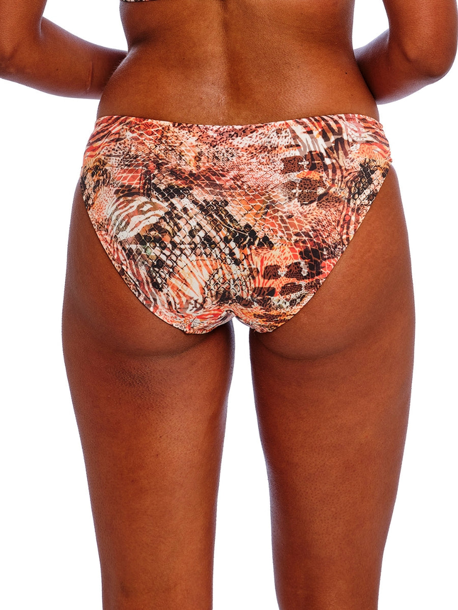 Desert Cat Bikini Brief