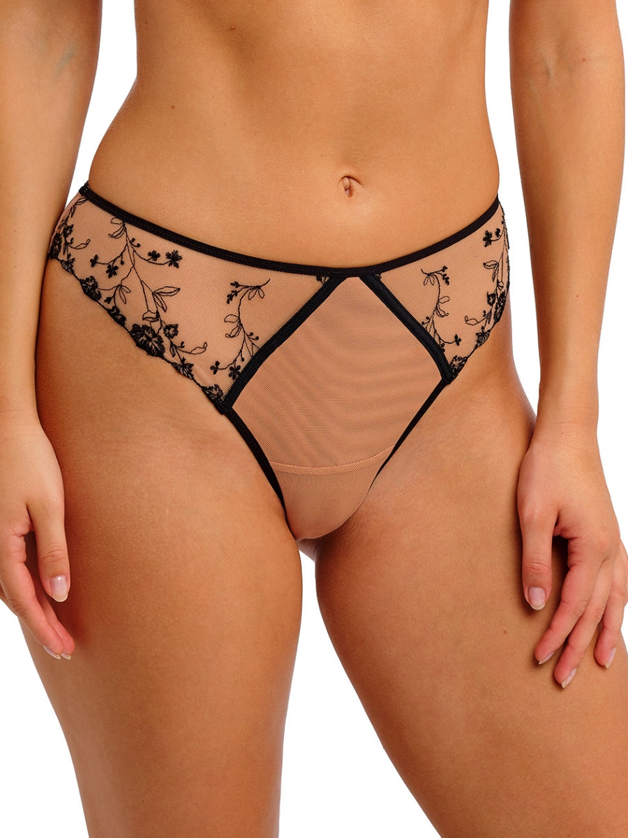 Entwined Brief