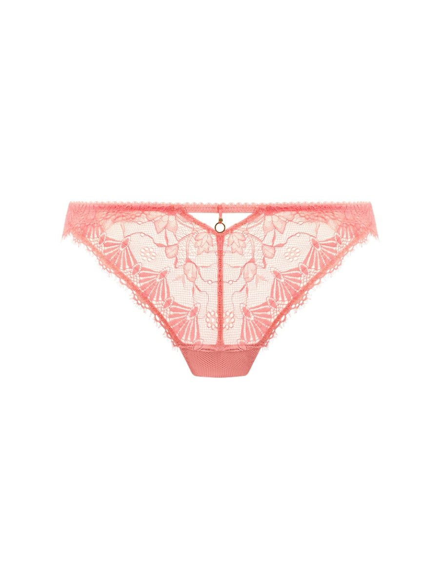 Fascinate Brief