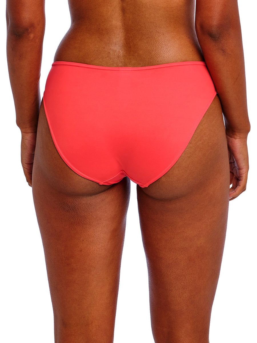 Jewel Cove Bikini Brief