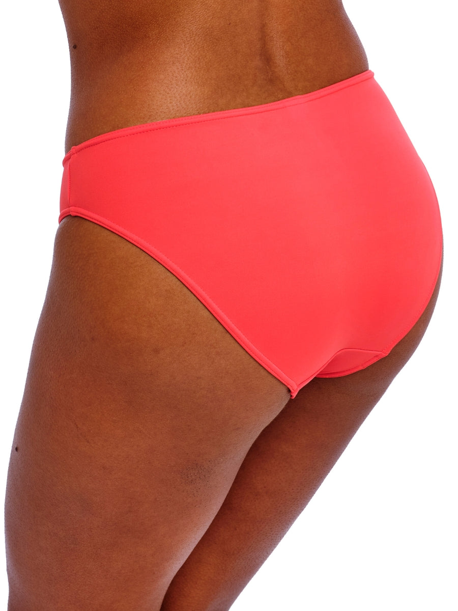 Jewel Cove Bikini Brief