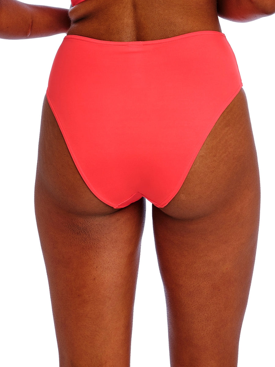 Jewel Cove High Waist Bikini Brief