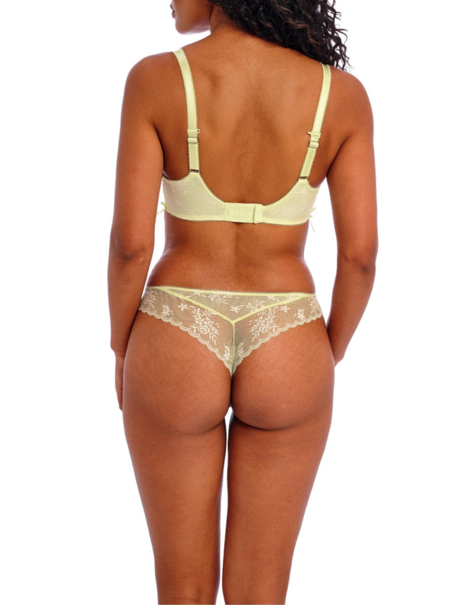Offbeat Decadence Side Support Bra - Key Lime
