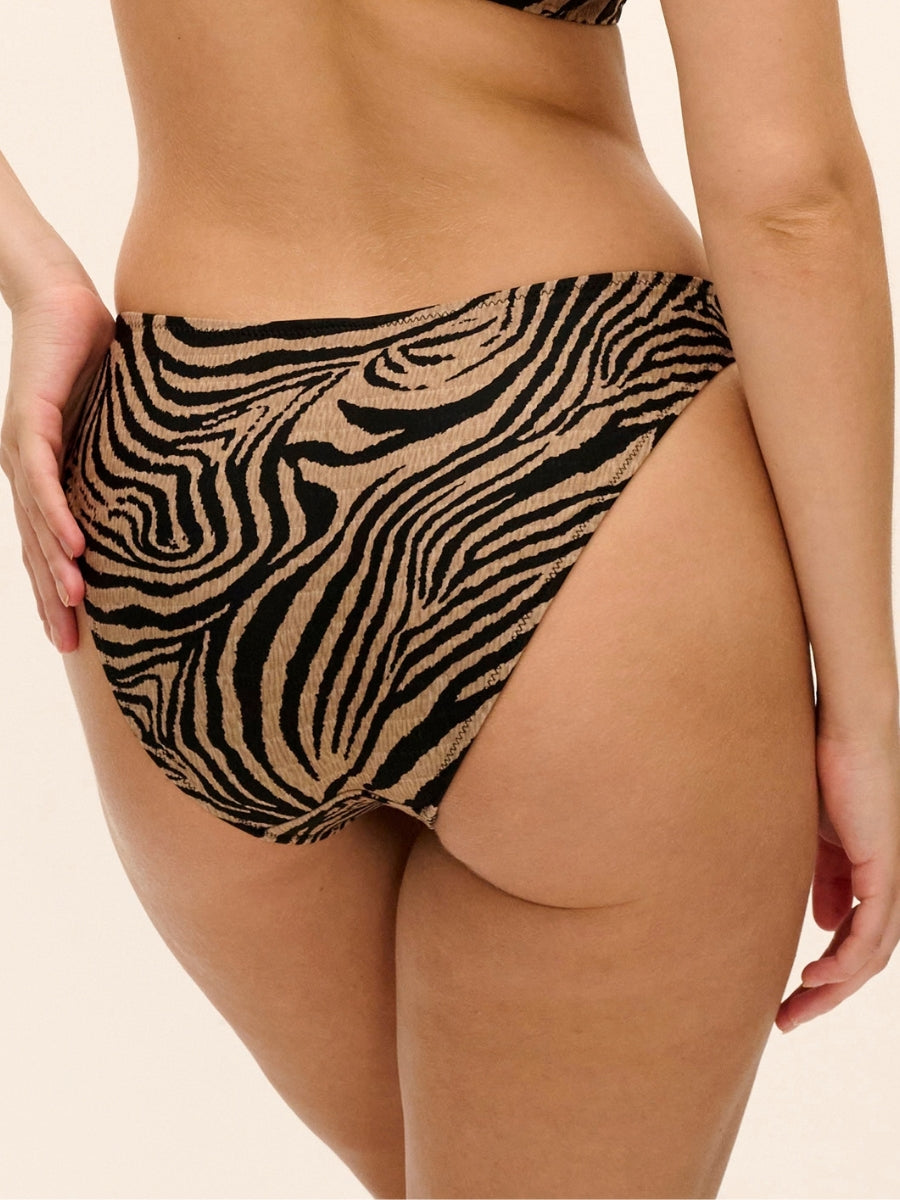 Tortoli Bay Bikini Brief