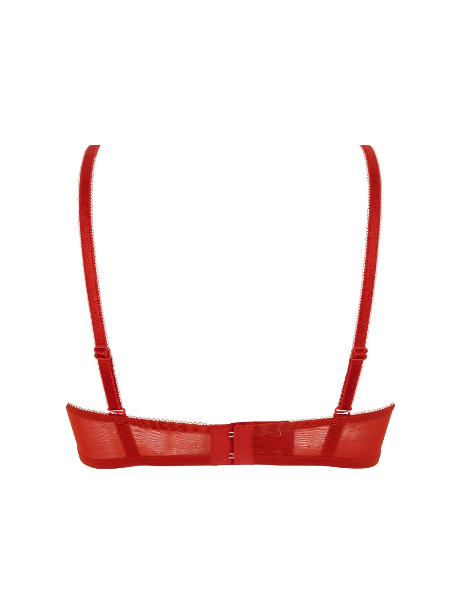 Glossies Lace Sheer Moulded Bra - Paprika