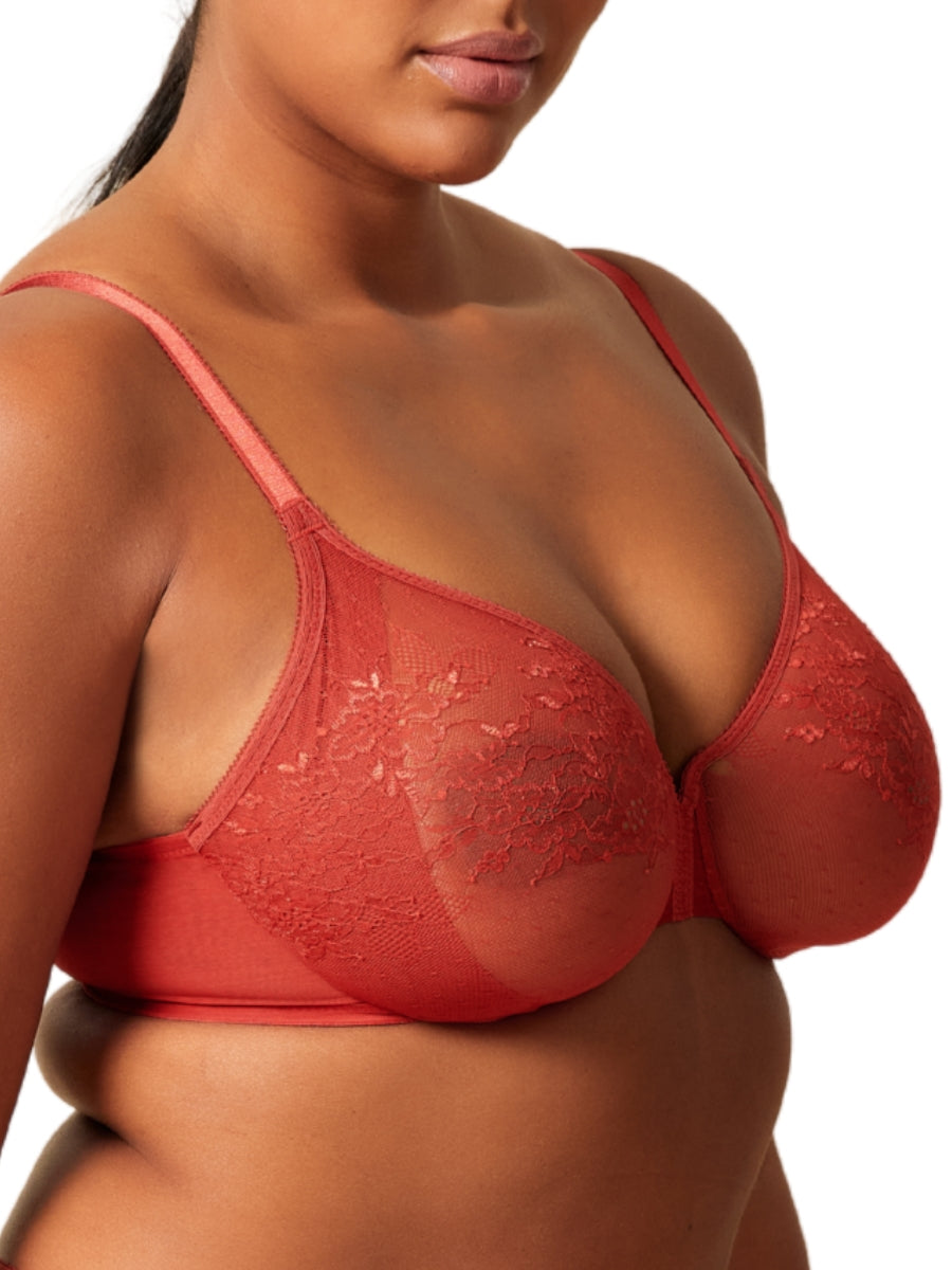 Glossies Lace Sheer Moulded Bra - Paprika