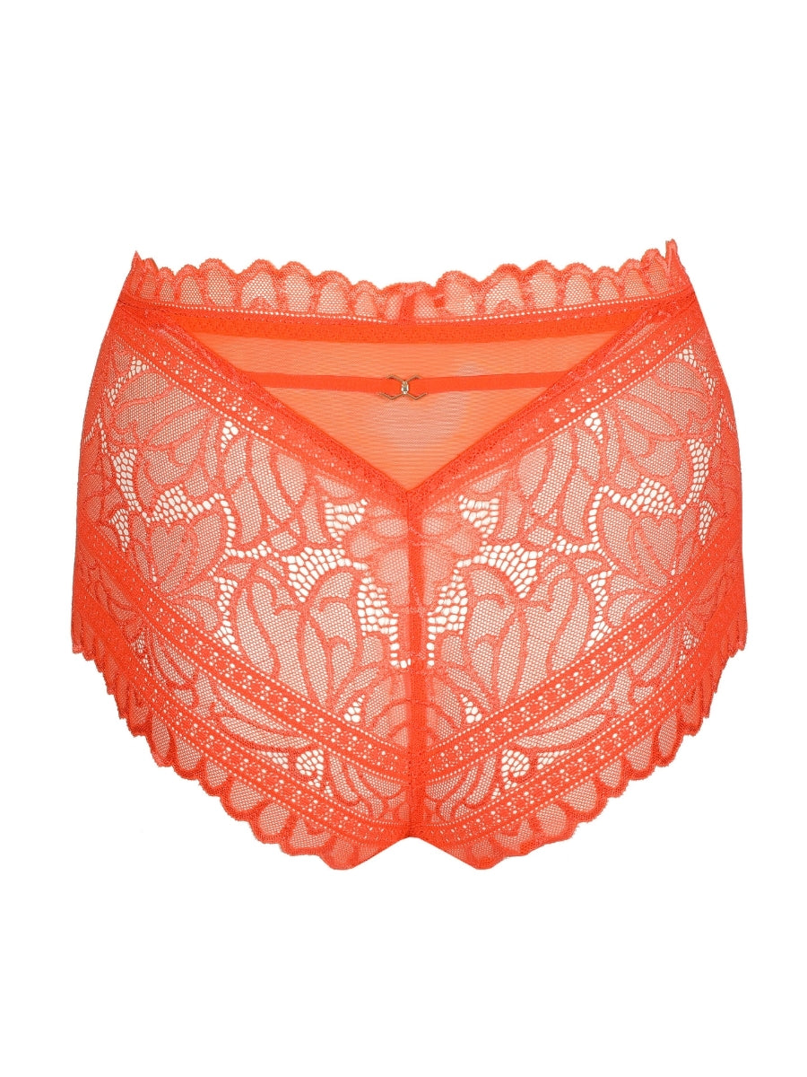 Cerina Special Brief